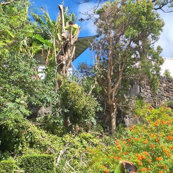 Triple A Tree Care - Tree Services Near Me Triple A Tree Care - Tree Services Near Me