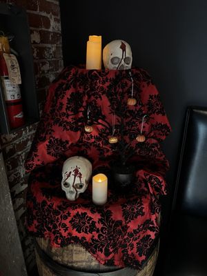 The Shady Lady Saloon by null