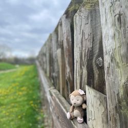 Fort Meigs Historic Site - Fort Wall