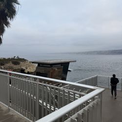 San Diego Scuba Pros - La Jolla cove