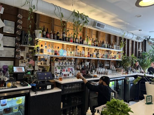 Bar Botanico by null