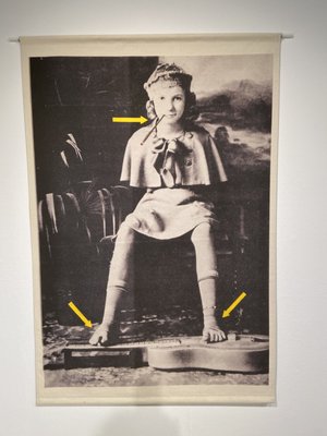 San Diego State University by null