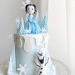 Basque Case - Frozen theme cake