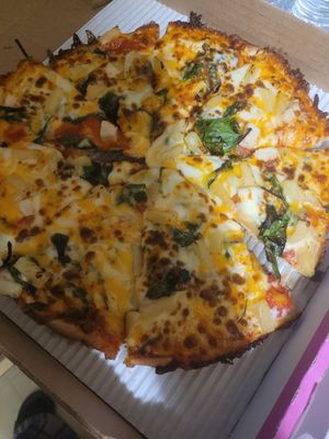 Pizza Cat by null