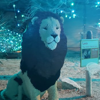 Denver Zoo Lights - Festivals Near Me - Denver, Colorado