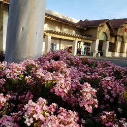 Conejo Valley Plaza Shopping Center - Spring color in the parking lot.
