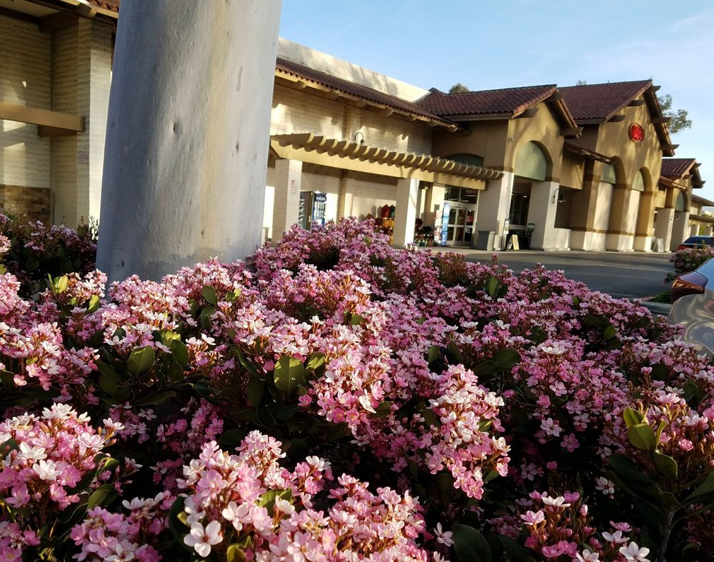 Conejo Valley Plaza Shopping Center Logo