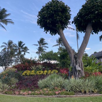 Hukilau Lanai - View from our table - Seafood Near Me - Kapaa, Hawaii