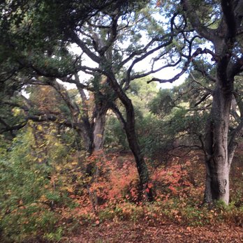 Bob Jones Trail - Hiking Near Me - San Luis Obispo, California Bob Jones Trail - Hiking Near Me - San Luis Obispo, California