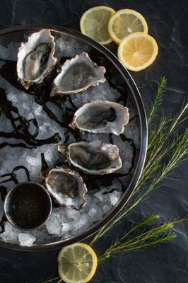 Marina Dockside by null