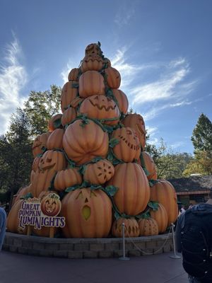 Dollywood by null