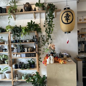SACHI.LA - Coffee & Tea Near Me - Los Angeles, California