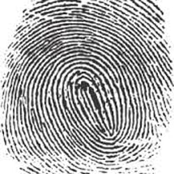 Live scan Fingerprinting Service