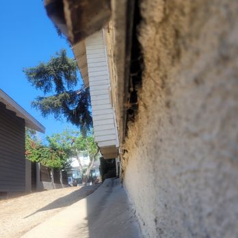 Moon's Termite Solutions - Pest Control Near Me - Los Angeles, California Moon's Termite Solutions - Pest Control Near Me - Los Angeles, California