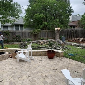 Arbor Oaks Tree Professionals - Tree removal almost complete - Tree Services Near Me