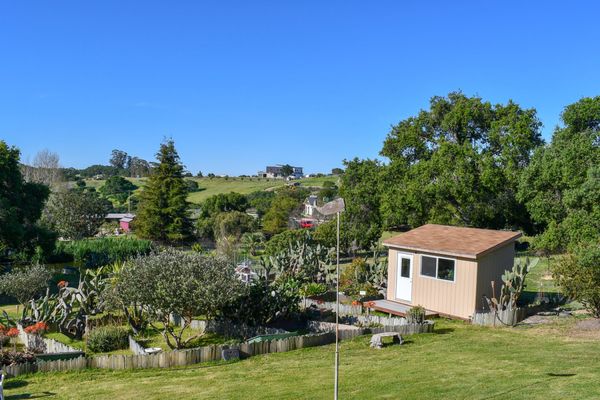 Turtle & Tortoise Rescue of Arroyo Grande