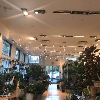 7 Dees - Nurseries & Gardening Near Me - Portland, Oregon
