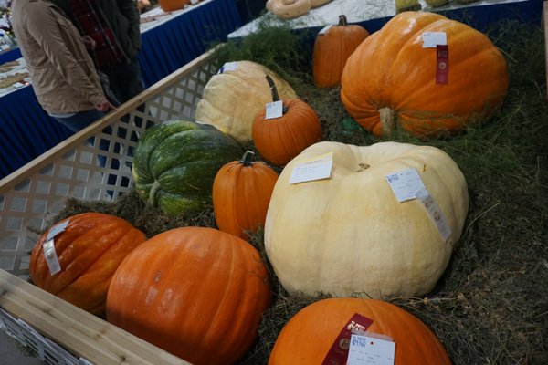 Markham Fairgrounds by null