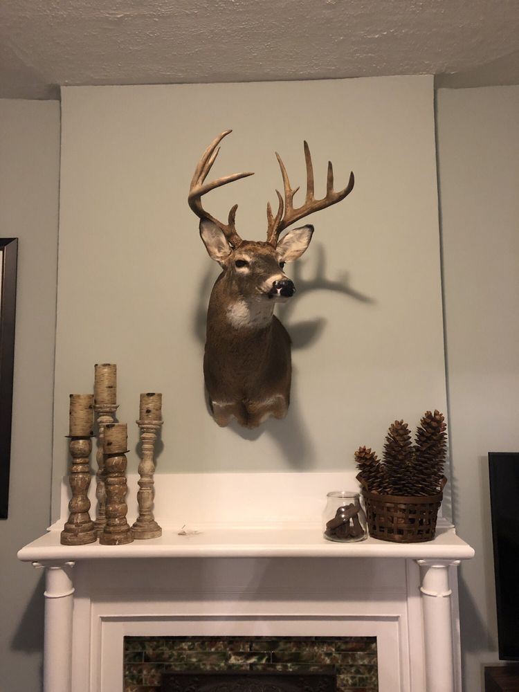 Larry's Life Like Taxidermy - taxidermy in Festus, MO