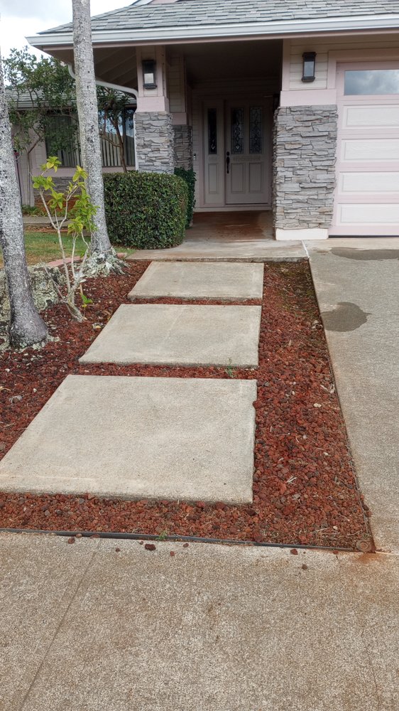 Slide of Papaya Powerwashing