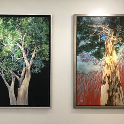 Mee Shim Fine Art