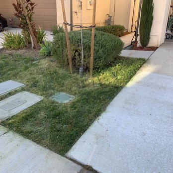 Grizzly Landscape - Landscaping Near Me