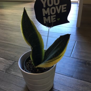 You Move Me Bay Area - Movers Near Me You Move Me Bay Area - Movers Near Me