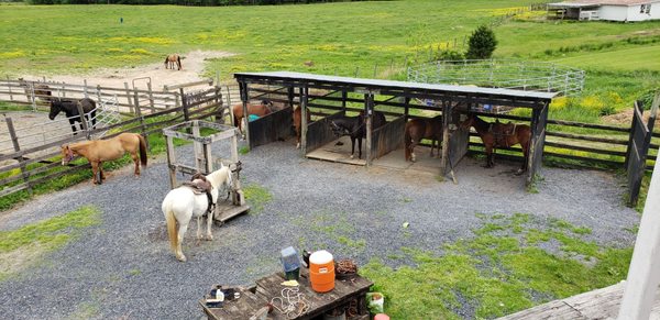 Secret Passage Ranch by null