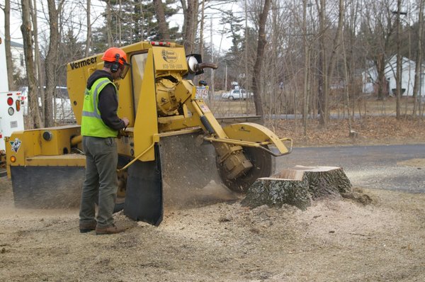 Stump Removal - Stump grinding is the most effective way of removing unwanted stumps. Also minimizes the amount of damage done to your property