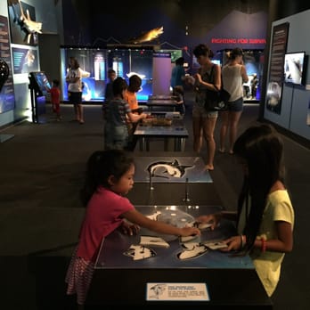 Bishop Museum - The rotating exhibits always have lots of hands on activities for the kids - Museums Near Me - Honolulu, Hawaii