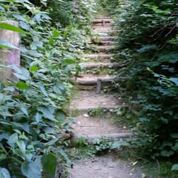 Kienberg - Aufstieg zum Kienberg