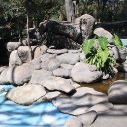 Parque Agua Azul
