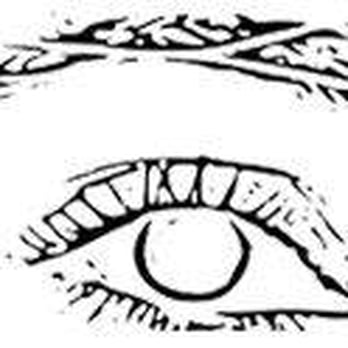 Eyebrow Threading - Threading Services Near Me - Fort Collins, Colorado
