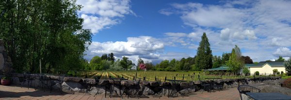 Bethany Vineyard & Winery by null