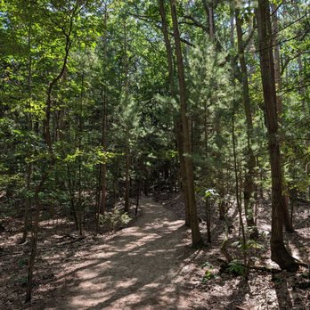 Saugatuck Dunes State Park - North trail - Parks Near Me - Holland, Michigan Saugatuck Dunes State Park - North trail - Parks Near Me - Holland, Michigan
