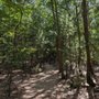 Saugatuck Dunes State Park