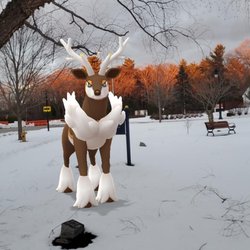 Shea Memorial Grove - Winter Sawsbuck Pokémon