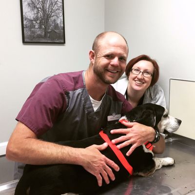 Jonesborough Animal Hospital 1398 W Jackson Blvd Jonesborough Tn Animal Hospitals Mapquest