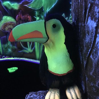 Rainforest Black Light Golf & Arcade - Arcades Near Me - Miramar Beach, Florida Rainforest Black Light Golf & Arcade - Arcades Near Me - Miramar Beach, Florida
