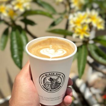 Black Dog Coffee Roasters - PB FIT LATTE-PEANUT BUTTER-HONEY - Perfect! - Coffee Roasteries Near Me - Signal Hill, California Black Dog Coffee Roasters - PB FIT LATTE-PEANUT BUTTER-HONEY - Perfect! - Coffee Roasteries Near Me - Signal Hill, California