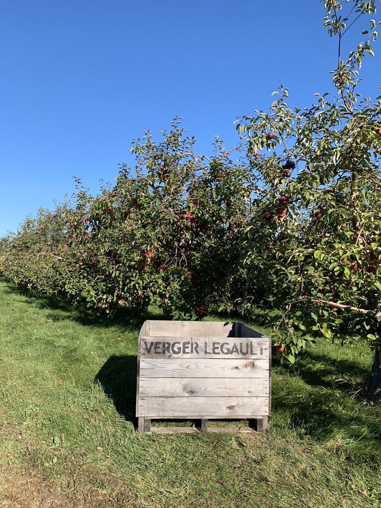 VERGER RICHARD LEGAULT 17 Photos 425 Rue SaintJosephDu