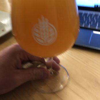 HighGrain Brewing Co - Peach Mango Sour - New American Near Me - Cincinnati, Ohio HighGrain Brewing Co - Peach Mango Sour - New American Near Me - Cincinnati, Ohio