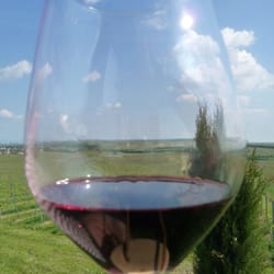 Weingut Bergkloster Gröbe & Söhne
