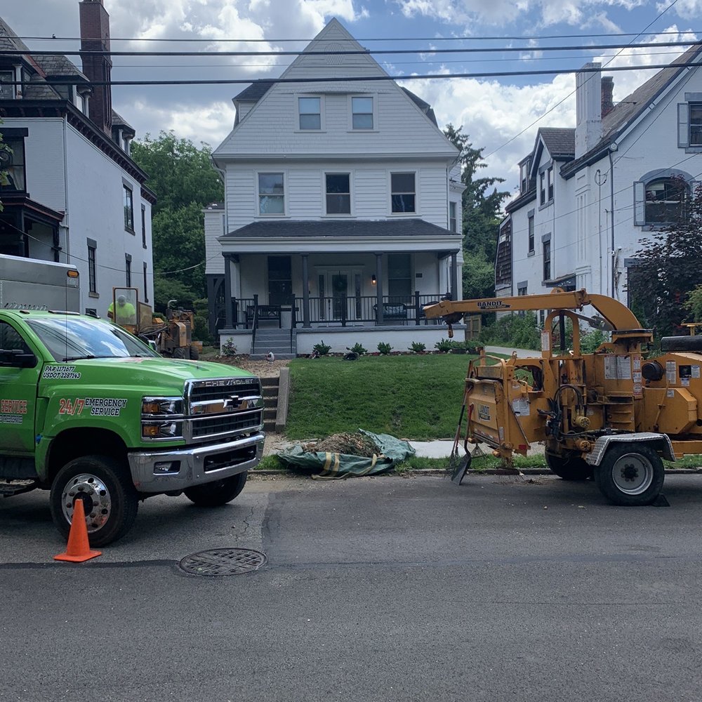 Tree gone!  Fun to watch them work.