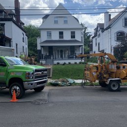 Tree gone! Fun to watch them work. Tree gone! Fun to watch them work.