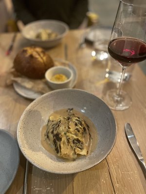 Oyster Oyster by null