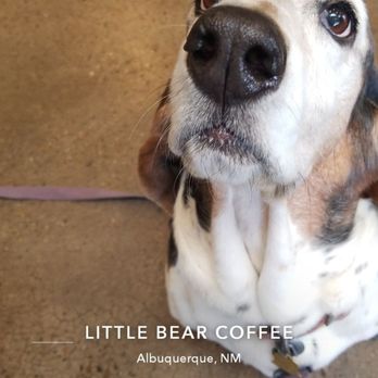 Little Bear Coffee - Coffee & Tea Near Me - Albuquerque, New Mexico Little Bear Coffee - Coffee & Tea Near Me - Albuquerque, New Mexico