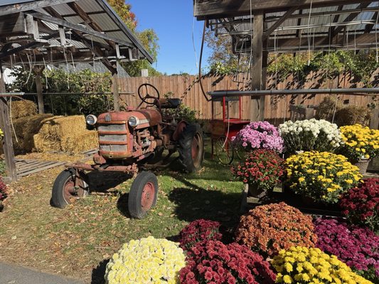 Boston Hill Farm by null