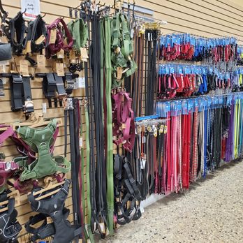 CanvasBack Pet Supplies - A peak of the dog harnesses, collars and leashes at Canvasback - Pet Groomers Near Me - Lockport, Manitoba CanvasBack Pet Supplies - A peak of the dog harnesses, collars and leashes at Canvasback - Pet Groomers Near Me - Lockport, Manitoba