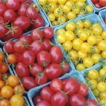 Red Fire Farm - Fruits & Veggies Near Me - Granby, Massachusetts